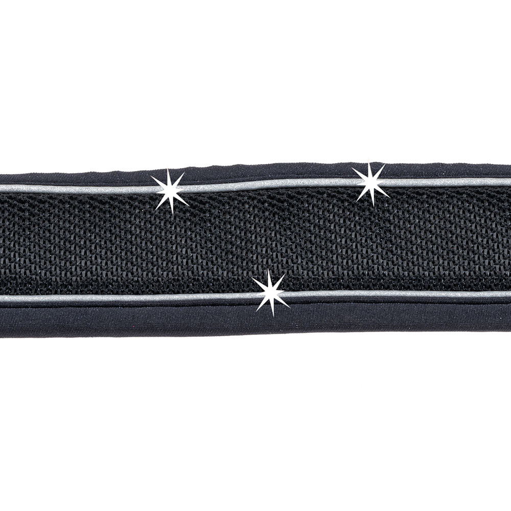 Ferplast Genius collar 25/55cm