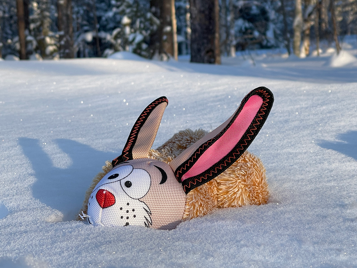 Zolux Dog "Firmin the Rabbit"