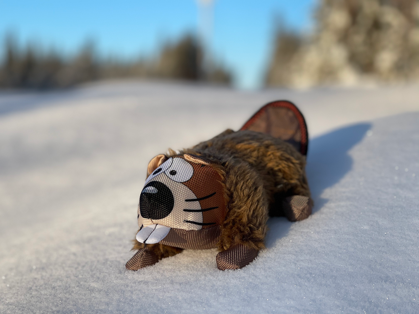 Zolux Dog "Hector the beaver"