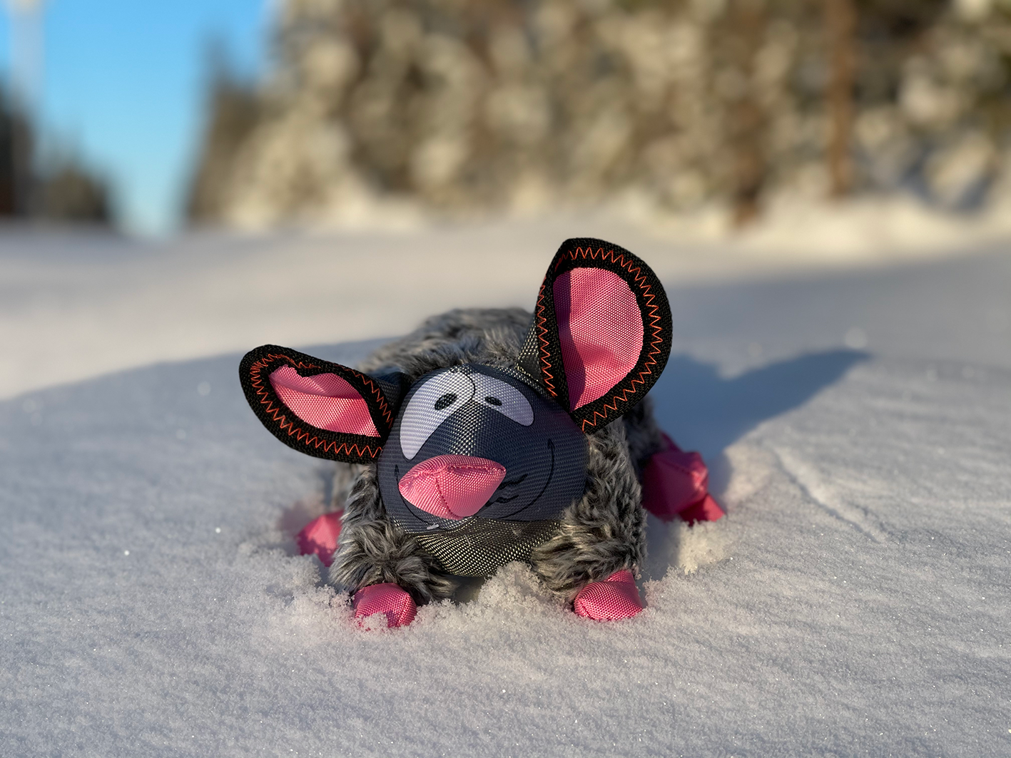 Zolux Dog "Gilda the rat"