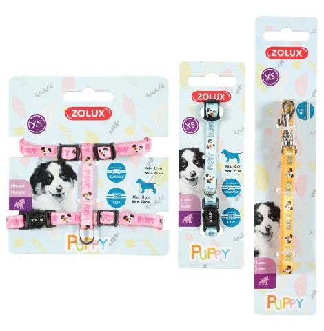 Zolux Puppy S "Mascot" valjas + hihna 13mm vaalean sininen