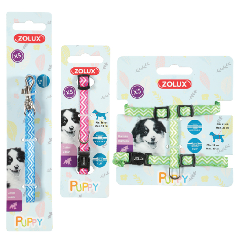 Zolux Puppy Pixie panta + hihna 13mm