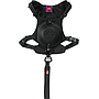 Zolux Easyride M